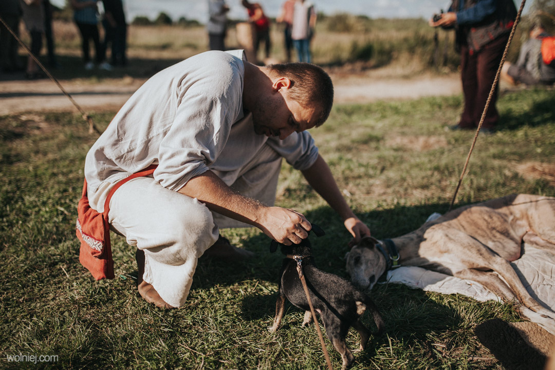 Maciek głaszcze psy podczas Słowiańskiego Babiego Lata w Grodzisku Żmijowiska